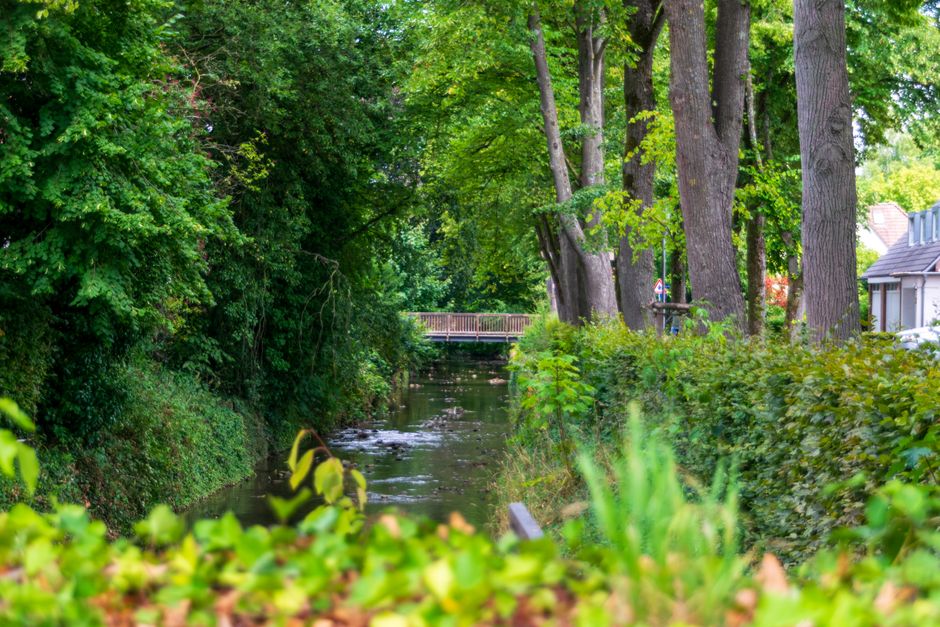 A narrow, gently flowing stream runs through a lush green area with dense foliage on both sides. On the left, thick bushes and trees with vibrant green leaves overhang the water, creating a shaded environment. The right bank features tall mature trees with gray bark and bright green leaves, alongside a neatly trimmed hedge. In the background, a small wooden footbridge spans the stream, partially obscured by the overhanging branches. Behind the trees on the right, the edge of a residential building with a slate roof and white exterior is visible, blending into the natural surroundings. The scene is illuminated by soft natural daylight, highlighting the various shades of green and the textures of the leaves, bark, and water surface. The setting appears peaceful and well-maintained, and the scene indirectly relates to waste management if considering the natural environment’s preservation, similar to private waste disposal or on-site clearance facilitated by services like Waste Clearance Colliers Wood for managing garden waste and debris.