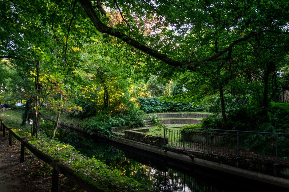 A tranquil scene of a small pond surrounded by lush, dense greenery, including a variety of trees and shrubs with vibrant green foliage. The pond’s surface is calm and reflective, mirroring the overcast sky above and the branches of the trees on either side. On the left, a large bush with smaller leaves extends towards the water, while on the right, a collection of tall, leafy trees with varied textures and shades of green creates a natural border. In the background, a prominent tree with dark reddish-purple leaves stands out against the predominantly green landscape, adding contrast to the scene. The environment appears to be part of a park or a green space, with no visible signs of human activity or structures. The overall atmosphere is peaceful and natural, highlighting the importance of maintaining green spaces and natural water bodies, which could be relevant in the context of local waste management and environmental preservation efforts. The scene’s clarity and focus suggest it is a professional photograph, suitable for inclusion in articles related to environmental maintenance or ecological conservation.