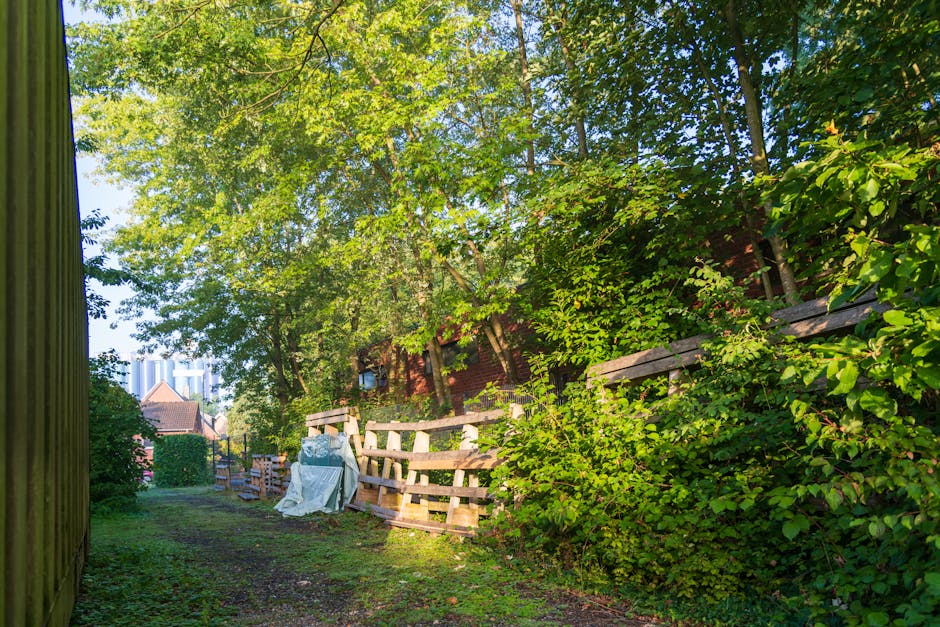 A narrow outdoor pathway lined with a tall wooden fence on the left and a dense green hedge on the right, both partially obscured by leafy foliage. In the middle ground, several pallets and pieces of discarded wood are stacked against the hedge, with some wrapped in plastic or fabric. The pathway is covered with grass and dirt, leading towards residential buildings in the distant background, including brick houses with pitched roofs and a glimpse of taller modern structures. The scene is illuminated by bright daylight, with sunlight filtering through the branches of trees overhead, creating dappled shadows on the ground. The overall setting appears to be a backyard or side alley being prepared for cleanup or clearance, typical of private waste handling or rubbish removal services such as those provided by Waste Clearance Colliers Wood, aimed at clearing garden or yard waste and debris in a neat and efficient manner.